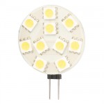 LED Light Globe Bi Pin